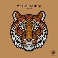 VA – We Like the Deep, Vol. 2 – (Dessous Recordings)