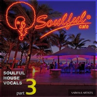 VA – This Is Soulful House, Vol.3 – (Irma Records)