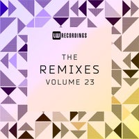VA – The Remixes, Vol. 23 – (LW Recordings)