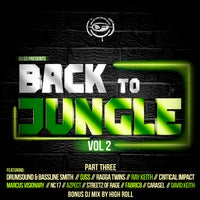 VA – Back to Jungle, Vol. 2 (Pt. 3) [Formation Records]