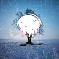 VA – Echoes in the Valley, Vol. 3 [Echoes in the Valley]