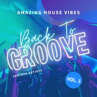 VA – Back to Groove (Amazing House Vibes), Vol. 1 [Weekend Warriors]