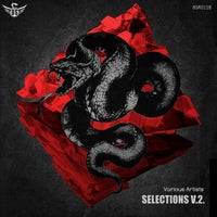 VA – Selections V2 [Black Snake Recordings]