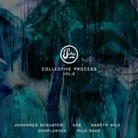 VA – Collective Process Vol.2 [Soma Records]