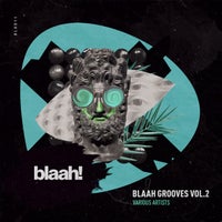 VA – Blaah! Grooves, Vol. 2 [BLH011]