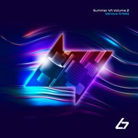 VA – Summer VA Volume 2 [Black Seven Music]
