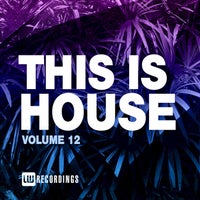 VA – This Is House, Vol. 12 [LWTIH12]