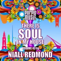 VA – Niall Redmond Presents There is Soul in My House, Vol. 43 – (Purple Music)