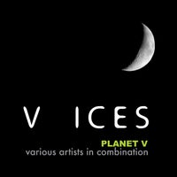 VA – Planet V – V.A 003 [Voices Records]
