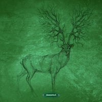 VA – Backflips [Stammtisch]