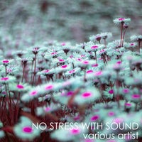 VA – No Stress With Sound [WELLKRAUD Collections]