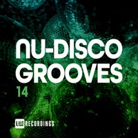 VA – Nu-Disco Grooves, Vol. 14 – (LW Recordings)