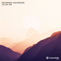 VA – Meanwhile Excursions, Vol. 1 [Meanwhile]