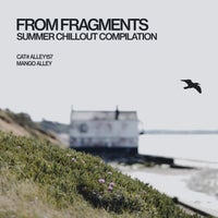 VA – From Fragments [Mango Alley]