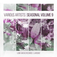 VA – Seasonal, Vol. 9 [Look Ahead Records]