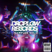 VA – Droplow Records Sampler, Vol. 2 [DLR066]
