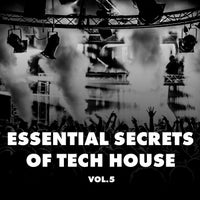 VA – Essential Secrets of Tech House, Vol. 5 [TS226]