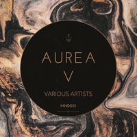 VA – Aurea 5 [MONADA]