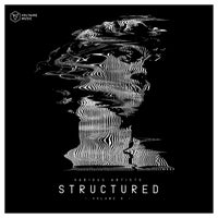VA – Voltaire Music Pres. Structured, Vol. 8 [Voltaire Music]
