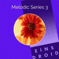 VA – Melodic Series 3 [EINSD031]