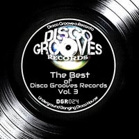 VA – The Best of Disco Grooves Records, Vol. 3 [DGR024]