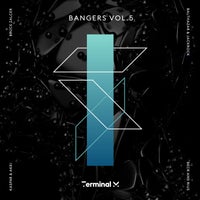 VA – Bangers, Vol. 5 [TERM203]