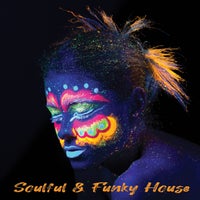 VA – Soulful & Funky House – (House Place Records)