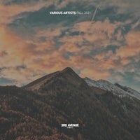 VA – Best of 3rd Avenue Fall 2021 [3AV055LP] [FLAC]