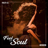 VA – Feel The Soul 009 – (HOT-Q)