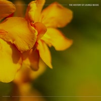 VA – The History of Lounge Music [Stereoheaven]