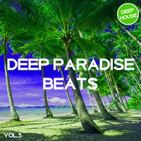 VA – Deep Paradise Beats, Vol. 5 [Tronic Soundz]