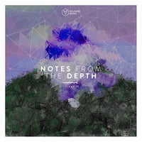 VA – Notes from the Depth, Vol. 19 [VOLTCOMP1040] [FLAC]