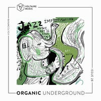 VA – Organic Creations Issue 28 [VOLTCOMP1036] [FLAC]