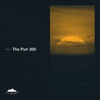 VA – The Purr 300 [PURR300]
