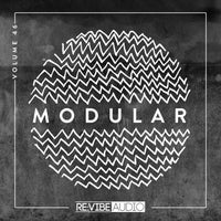 VA – Modular, Vol. 46 [Re vibe Audio]