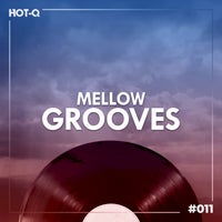 VA – Mellow Grooves 011 [LW Recordings]