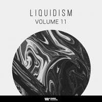 VA – Liquidism, Vol. 11 [DNBB Digital]