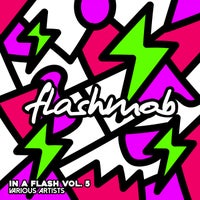 VA – In A Flash, Vol. 5 [FMR190]