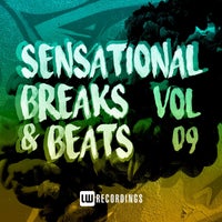 VA – Sensational Breaks & Beats, Vol. 10 [LW Recordings]