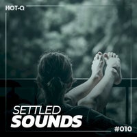 VA – Settled Sounds 010 [LW Recordings]
