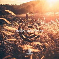 VA – Vibrant Vibeland 16 [ST321]