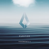 VA – Purified Fragments V [Purified Records]