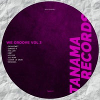 VA – We Groove, Vol. 3 [TNM042]