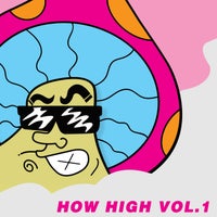 VA – How High Vol.1 [RBCD88]
