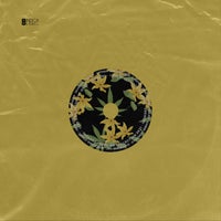 VA – Seed VA Collection [Indica Label]