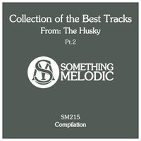 VA – Collection of the Best Tracks from The Husky, Pt. 2 [Something Melodic]