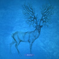 VA – Outer Layer [STT148]