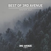 VA – Best of 3rd Avenue Winter 2021 [3AV056LP]