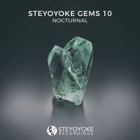 VA – Steyoyoke Gems Nocturnal 10 [SYYKCOMP017]