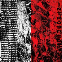 VA – Insvva005 [Introspective Rec.]